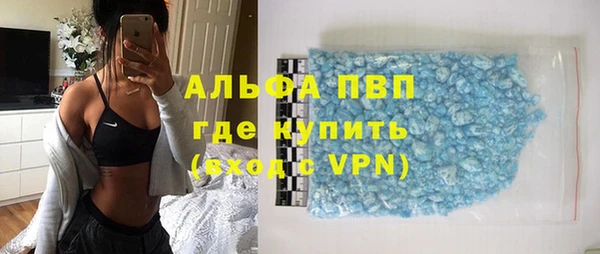 стаф Богданович