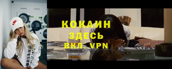 прущие грибы Белокуриха