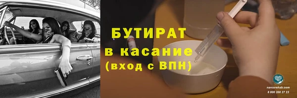прущие грибы Белокуриха