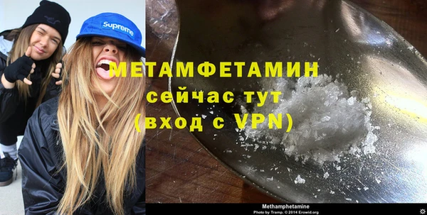 стаф Богданович