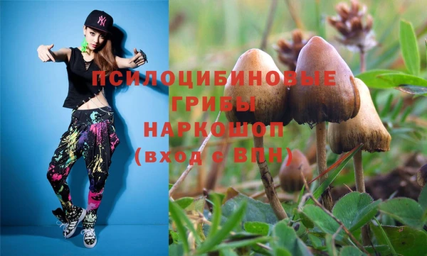 стаф Богданович
