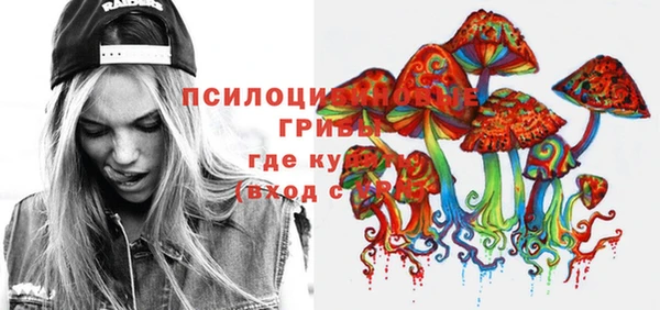 стаф Богданович