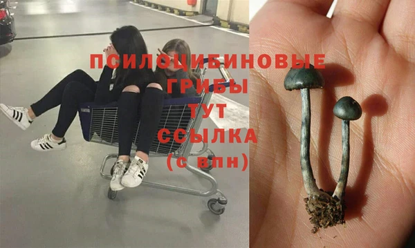 метамфетамин Богородицк