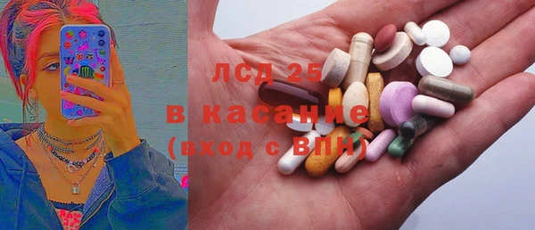 ГАЛЛЮЦИНОГЕННЫЕ ГРИБЫ Пересвет
