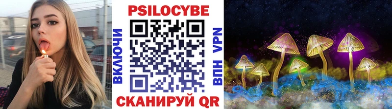 Галлюциногенные грибы MAGIC MUSHROOMS  mega   Вельск  как найти закладки 
